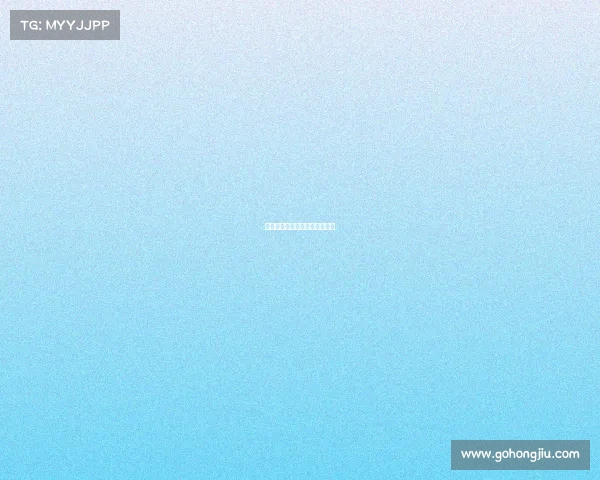 非洲冠军：大陆足球之光与荣耀